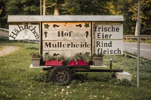 Leider keine Bildbeschreibung für original_751.jpg vorhanden.